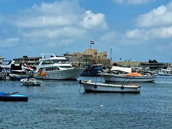 Meet, pick-up, transfer to Alexandria. 