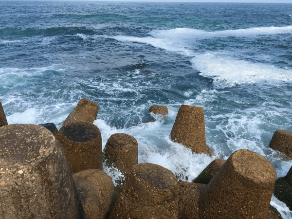 The Mediterranean Sea (Optional Tour)