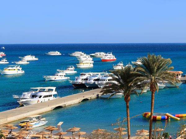 🏖️ Optional Tour