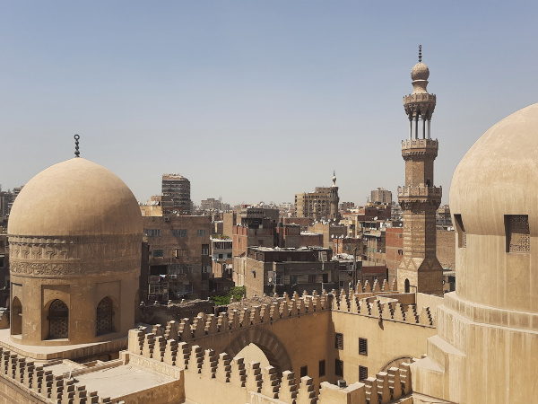 🚌 Return to Cairo. Check into your hotel.