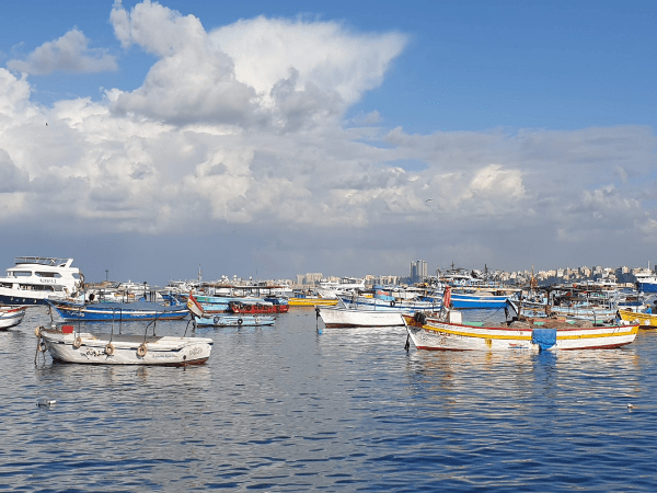 The Mediterranean Sea (Optional Tour)