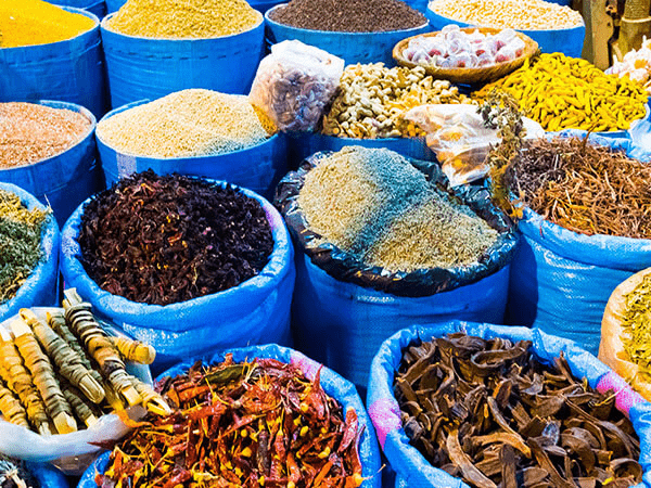 Nubian village (Optional Tour)