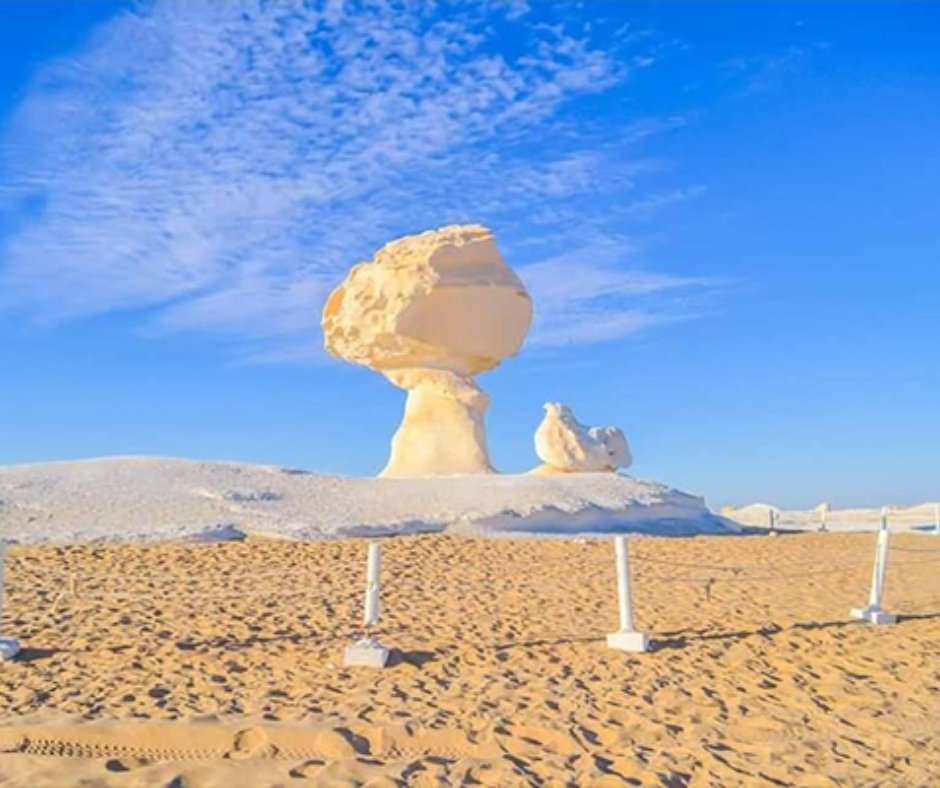 Day 1- Bahariya Oasis