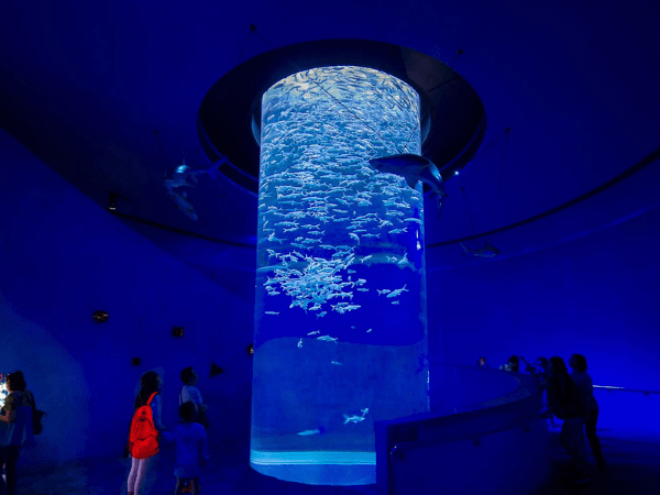 The Grand Aquarium