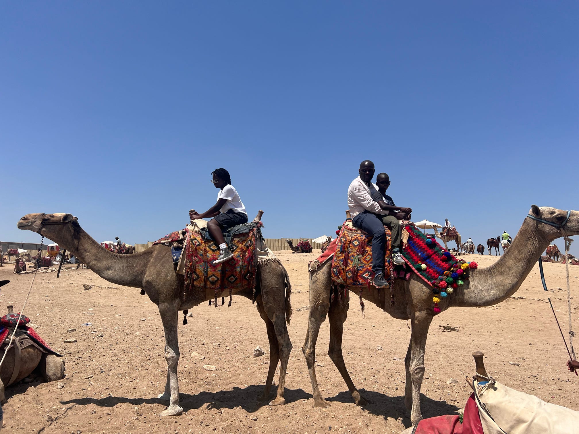 Camel Riding (Optional Tour)