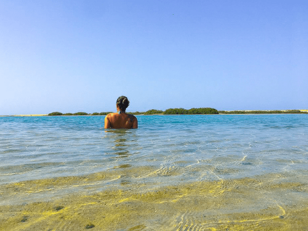 Afternoon Snorkeling and Return to Hotel