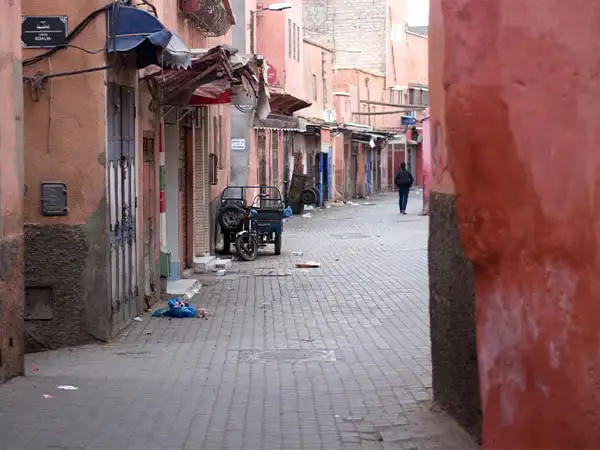 Meet, pick-up, transfer to Alexandria. 