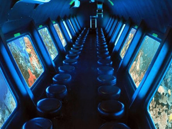 Sailing in the Sharm Bay for one hour (Optional Tour)