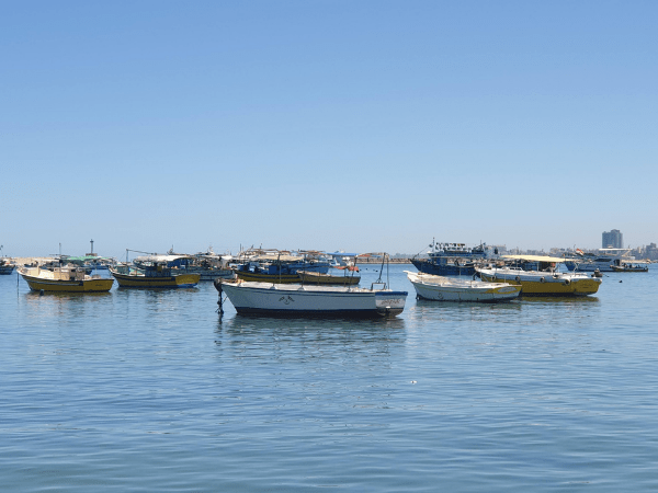 The Mediterranean Sea (Optional Tour)